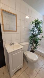 La salle de bains est pourvue de toilettes, d'un lavabo et d'une plante. dans l'établissement Naguabo Renovated Property - Cozy Apartment, à Naguabo