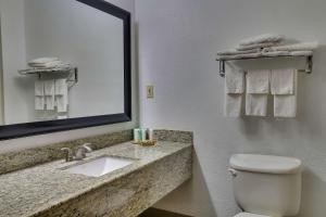 a bathroom with a sink and a mirror and a toilet at Country Inn & Suites by Radisson, Savannah Gateway, GA in Savannah