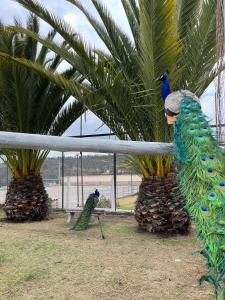 dos pavos reales están parados junto a una palmera en Minkana Hotel, en Guano