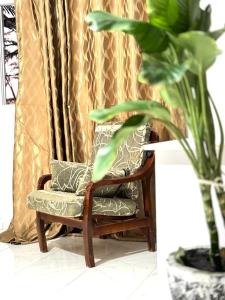una silla con almohadas y una planta en una habitación en keur manga, en Somone