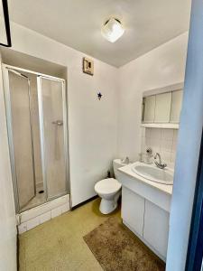 uma casa de banho com um WC, um lavatório e um chuveiro em Pratique, Proche Gare & Petit Prix avec Parking em Grenoble