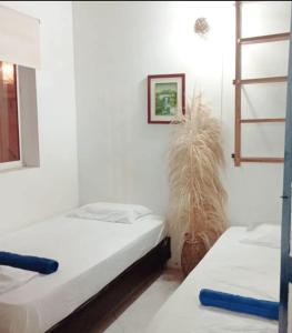 two beds in a room with white walls at Casa Yemaya in Necoclí