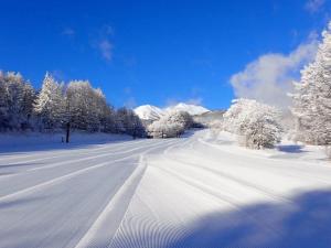 a snow covered road with snow covered trees on it at irodori in Matsumoto