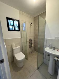 a bathroom with a toilet and a shower and a sink at Cozy 2 Bedroom Apartment. in Santo Domingo