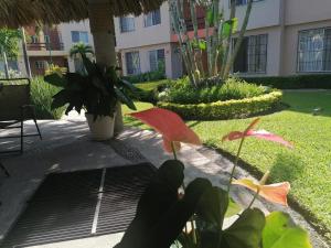 una persona está sosteniendo dos paraguas en un patio en Casa en Cuernavaca, 