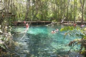 un gruppo di persone che nuotano in una piscina nel bosco di Departamento Grande los Caracoles 1 a Dzilam de Bravo