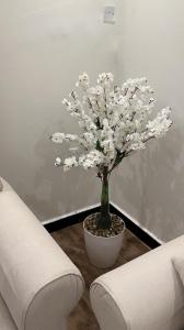 un jarrón blanco con un árbol en la sala de estar en غرفه وصاله بدخول ذاااتي, en Riad