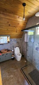 ein Bad mit einem WC und einer Glasdusche in der Unterkunft Mirante das Cabanas in Guarapari
