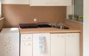 a kitchen with a sink and a counter top at Nice Home In Zemunik Donji With Kitchen in Smrdelje