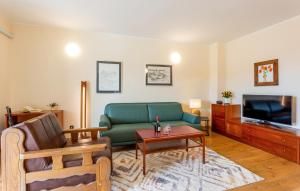 salon z zieloną kanapą i telewizorem w obiekcie Amazing Apartment In Pula With 2 Bedrooms And Wifi w Puli