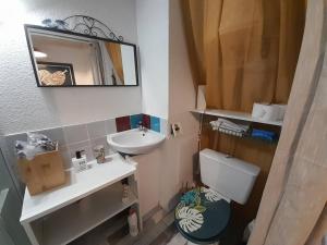 a bathroom with a sink and a toilet and a mirror at Studio Saint-Hilaire-de-Riez, 1 pièce, 2 personnes - FR-1-324-564 in Saint-Hilaire-de-Riez