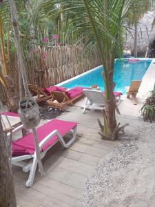 a patio with lounge chairs and a palm tree next to a pool at El Puente in El Paredón Buena Vista