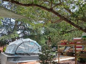 Zahrada ubytování Gîte cosy avec piscine chauffée près des sites touristiques et zoo de Beauval - FR-1-491-378