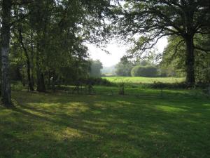a park with trees and a field of grass at Maison solognote avec étang privé, barque, pêche gratuite et vélos inclus, proche Saint-Viâtre - FR-1-491-416 in Saint-Viâtre +6 photos