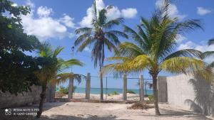 two palm trees on the beach near a fence at LA CHOZITA DEL MAR in Celestún