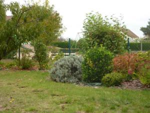 einen Garten mit Büschen und Bäumen im Hof in der Unterkunft Gîte au cœur des châteaux de la Loire, jardin privé, garage, 2 chambres, proche Chambord et Beauval - FR-1-491-435 in Huisseau-sur-Cosson + 2 Fotos
