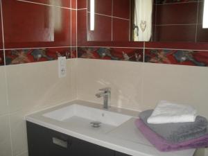 a bathroom with a sink and a mirror at Maison spacieuse en Sologne avec grand jardin, proche randonnée, terrasse, parking privé - FR-1-491-437 in Chaon +13 photos