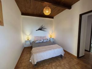 1 dormitorio con 1 cama con un pájaro en la pared en Appartement Alata, 3 pièces, 4 personnes - FR-1-61-628, en Alata
