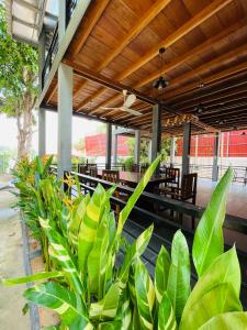 um grupo de plantas em frente a um restaurante em HOLY VILLA 4rooms, 5beds, 6baths, 1KCH, 1LR riverside private villa em Kampot