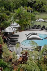 a group of chairs and umbrellas next to a swimming pool at The Lord Byron in Byron Bay
