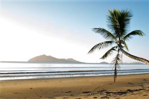 米申海滩Beachfront Apartment 1 Beachfront Haven - 2 bed的海滩上的棕榈树与大海