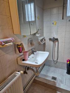 a bathroom with a sink and a shower at DESPINA SGPP in Argostoli