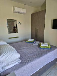 een slaapkamer met 2 bedden en een spiegel bij HELEN aparment in Argostoli
