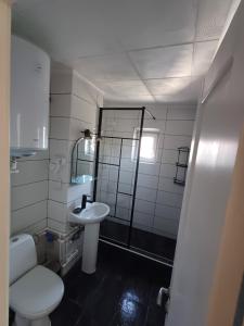 a bathroom with a toilet and a sink and a shower at Apartament Milan in Mangalia +16 photos