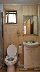 La salle de bains est pourvue de toilettes, d'un lavabo et d'un miroir. dans l'établissement Cabaña Mirador del Valle, à Melipeuco