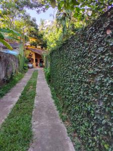 Zahrada ubytování Brinkhouse Guesthouse , Unawatuna beach