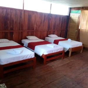 3 camas en una habitación con paredes de madera en Bromelia Flower Lodge Iquitos, en Iquitos