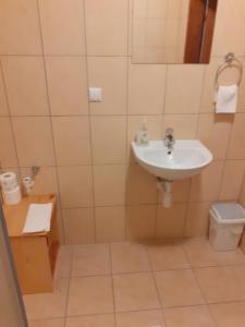 a bathroom with a sink and a toilet at Stadnina Koni Nad Wigrami in Mikolajewo