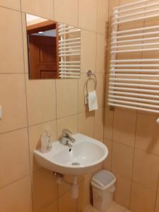 een badkamer met een wastafel, een toilet en een spiegel bij Stadnina Koni Nad Wigrami in Mikolajewo