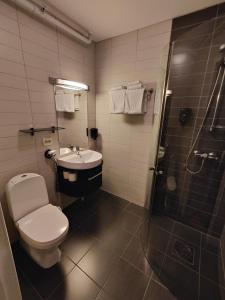 a bathroom with a toilet and a sink and a shower at Hamn i Senja in Hamn