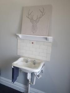 a bathroom sink with a picture of a deer on the wall at Commercial Hotel Young in Young