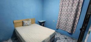 a small bed in a room with a blue wall at Jaguar long-stay Guest House in Ciudad Vieja in Ciudad Vieja