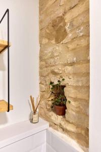 a stone wall with a potted plant on it at Precioso apartamento en la calle Estafeta! in Pamplona +14 photos