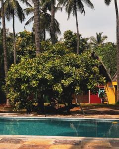 a tree next to a swimming pool with palm trees at Nature Zone Resort in Puducherry
