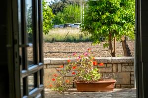 a window view of a garden with flowers at Stefano's Home in Potokáki