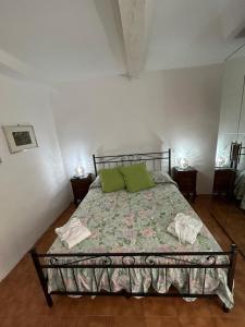 1 dormitorio con 1 cama con 2 almohadas verdes en Aura Entis, en Canino