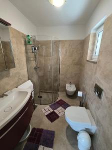 a bathroom with a shower and a toilet and a sink at House with pool in Mali Lošinj
