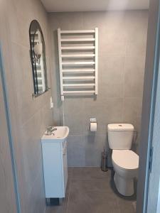 een badkamer met een toilet en een wastafel bij Agroturystyka Żuczek in Okuniowiec