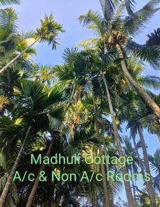 a group of palm trees with the words midnight butterflies ag and non ayaya network at VAIBHAV NAIk MADHULI COTTAGE in Alībāg +10 photos