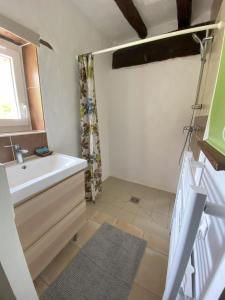 a bathroom with a sink and a shower at Au Chêne Gauthier in Pouillé
