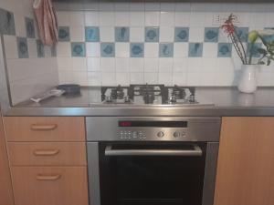 a kitchen with a stove and a sink at Capraia per te in Capraia