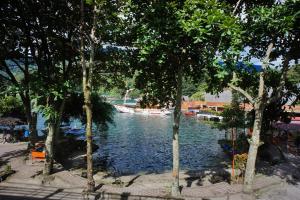 eine Gruppe von Bäumen mit Booten im Wasser in der Unterkunft Pandu Lakeside Hotel Parapat in Parapat