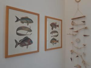 Fotografie z fotogalerie ubytování Voglia di mare v destinaci Capraia