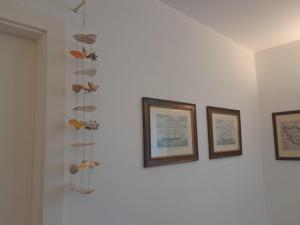 une rangée d'images encadrées sur un mur avec des coquilles dans l'établissement Voglia di mare, à Île de Capraia