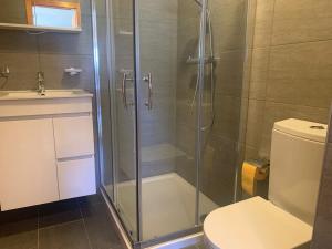 y baño con ducha, aseo y lavamanos. en Mont Rouge VIEW & CENTER apartments by Alpvision Résidences, en Veysonnaz