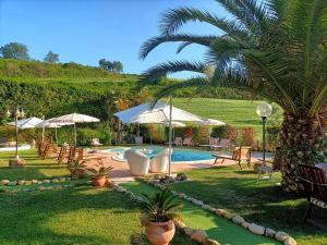 uma piscina com cadeiras e guarda-sóis e uma palmeira em Villa Daya by BarbarHouse em Carignano